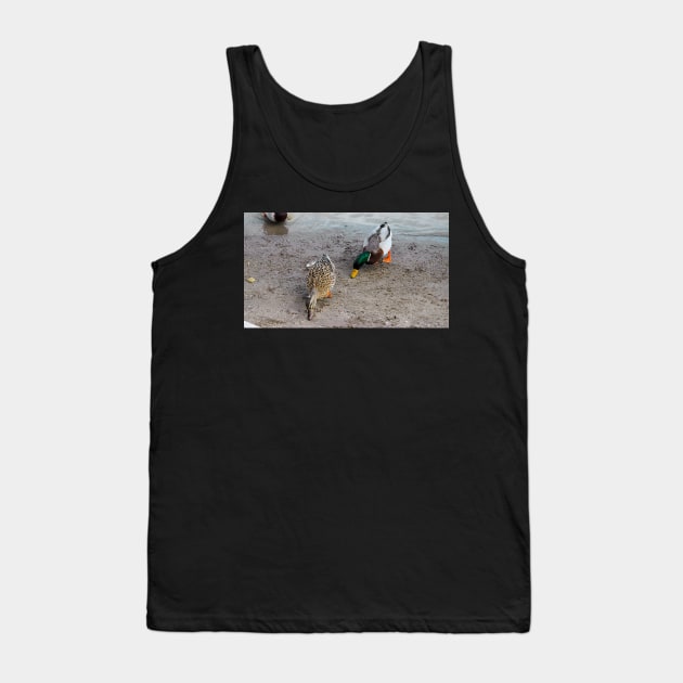 Ducks Searching The Beach For Food Tank Top by BackyardBirder